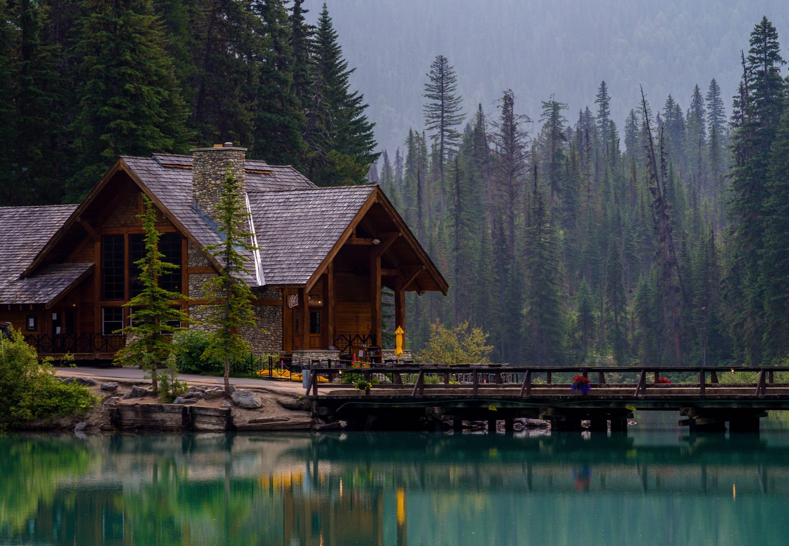 Les principales essences de bois au Canada